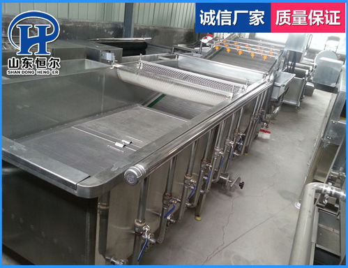 山东恒尔 多图 苦瓜蔬菜清洗机茼蒿蔬菜清洗机