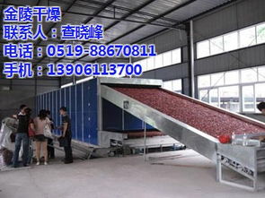 干燥机在化工设备制造中的应用 以金陵干燥海鲜精干燥机为例