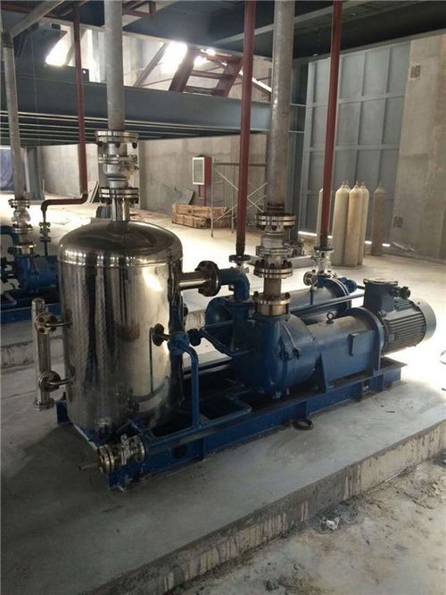 水环真空泵维修与化工设备维护 从惠东案例看专业真空泵厂家的服务价值